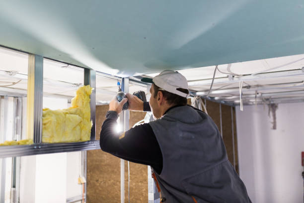 Best Commercial Insulation in The Colony, TX