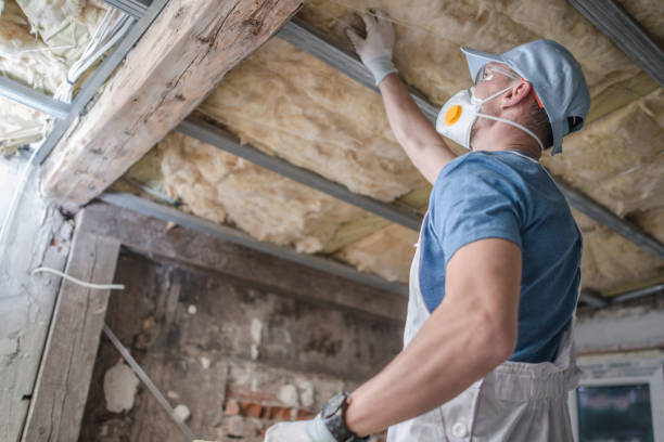 Best Energy Efficiency Insulation in The Colony, TX